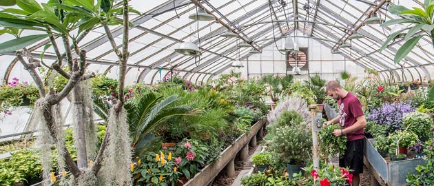students in greenhouse