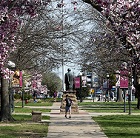 SIU Campus