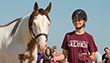 Animal Science- College of Agriculture - horse and rider