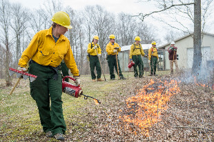 SIU Forestry Program